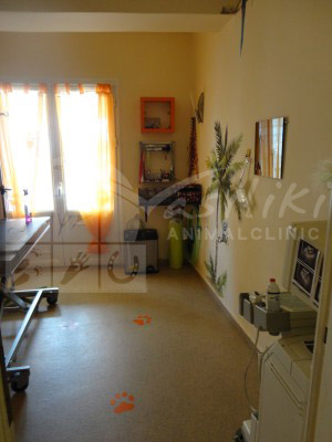 consult room after6 resuscitation unit